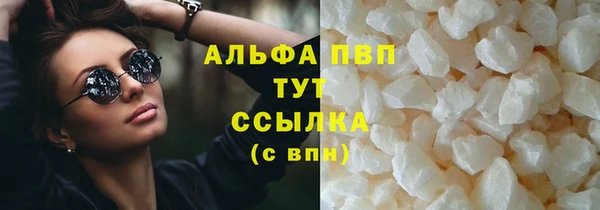 индика Балабаново