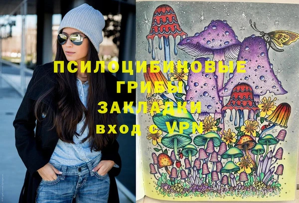 индика Балабаново