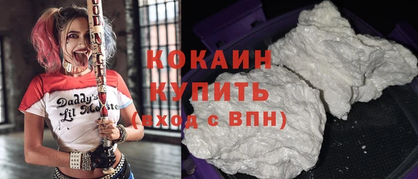 индика Балабаново