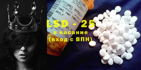 индика Балабаново