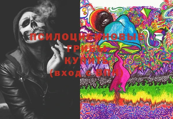 прущие крисы Арсеньев