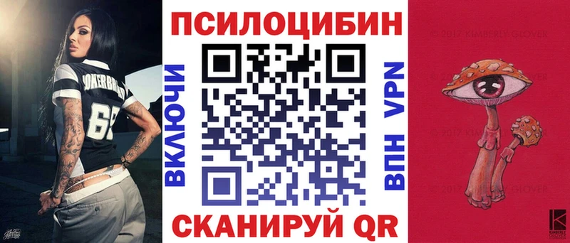 Галлюциногенные грибы Psilocybe  Вихоревка 