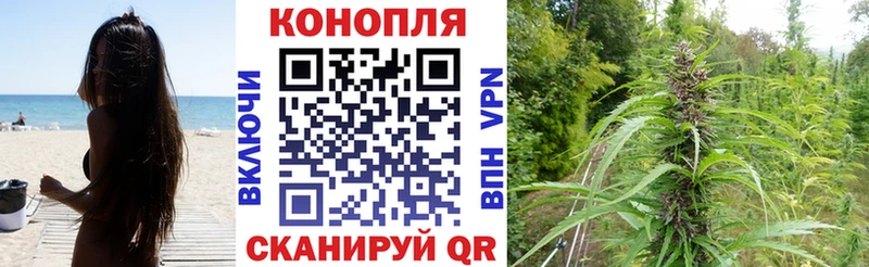 Канабис OG Kush  mega маркетплейс  Вихоревка 